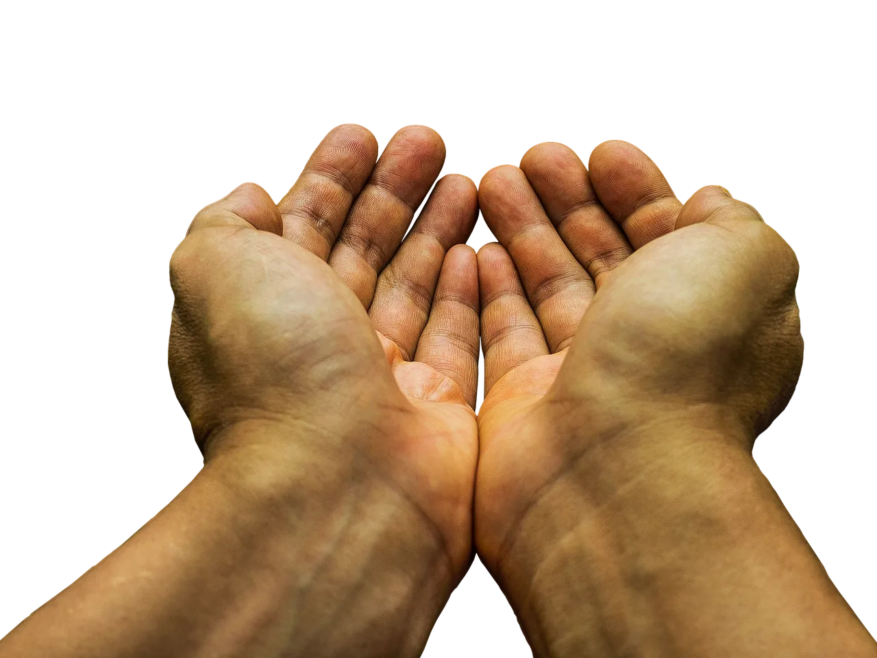 begging, hands, poor, hope, charity, receive, beg, hungry, beggar, support, compassion, helping hand, brown hope, brown support, brown help, begging, begging, poor, poor, poor, poor, hope, charity, charity, charity, charity, beg, hungry, beggar, beggar, beggar, beggar, beggar